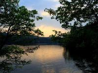 �y�`�~�P�b�v�΁z�X�ׂ����40�L���A�Õʒ��̖k�����Ɉʒu����X�̒��̌΂ł��B�u�`�~�P�b�v�v�Ƃ̓A�C�k��Łu�R��j���Đ�������鏊�v�Ƃ����Ӗ�