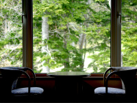 �y�����فE�a�m���z���̊O�ɍL����X�␴���A���񂾋�C�A�����ޖؘR���A���̖����B�u�X�ׂv�Ȃ�ł͂̎��Ԃ��ǂ����B