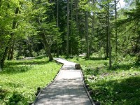 �y�����̐X�z�t�B�g���`�b�h�i�X�̍��萬���j������X�ŁA�S�g�Ƃ��Ƀ��t���b�V���I�s��̃X�g���X��􂢗����Ă��������B