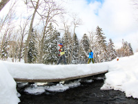 �y�X�m�[�V���[�z��̐X�̓��N���N�h�L�h�L���C�b�p�C�I��