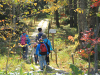 �y�X�уZ���s�[�z�H����̐X������āA���R�̃p���[����