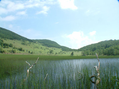 【東雲湖／しののめこ】然別湖の東側の森の中にひっそりと佇む緑に囲まれた小さな湖