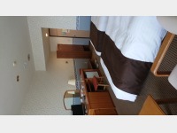 �c�C���i���j