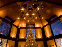 �o�C�L���O���X�g�����uCOTA�v�@���C���[�W