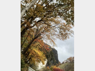 層雲峡の紅葉2