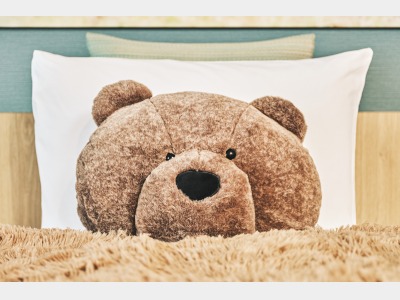 えぞひぐまルーム　えぞひぐまクッション