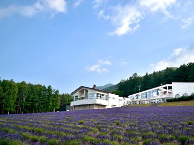 【外観】当館の前に広がる「ラベンダーの森」は、富良野市内一大きなラベンダー畑です。