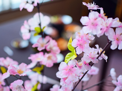 【ロビー】季節を感じながらゆったりお過ごしください