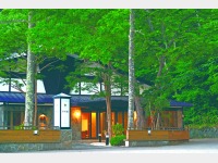 ���ʌ���(��)