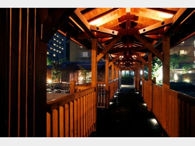 エントランス前の人道橋