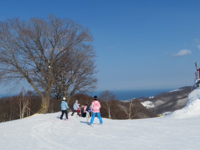 朝里川温泉スキー場（徒歩５分）