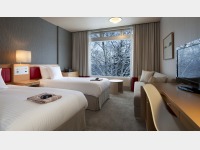 �X�^���_�[�h�c�C�����