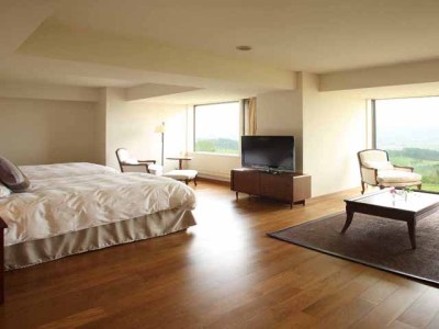 デラックスツイン一例