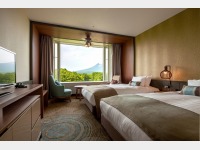 �c�C���i���j