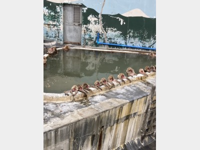 函館市熱帯植物園