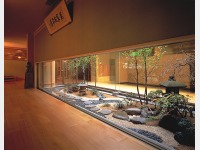 ���r�[�@����