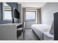 �V���O��