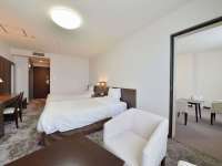 �y���فz�X�^���_�[�h�R�l�N�e�B���O���[��