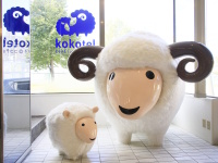 �y�t�����g�z�R�R�Ƃ��Ƃ����񂪌��ւł��o�}����