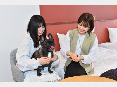 ペット可ルーム