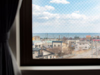 �q������̕��i�i���j