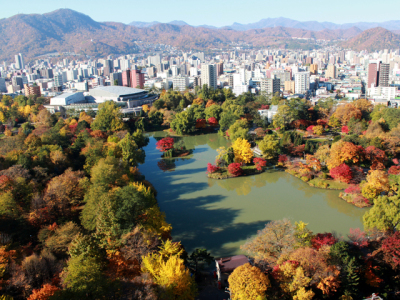 紅葉　イメージ