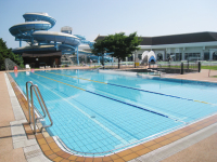 ���O�v�[��