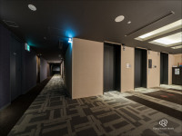 �q���t���A