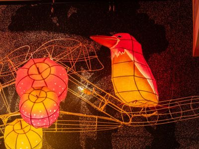 ■2024年3月誕生■　ねぶたツイン（アカショウビンのねぶた）