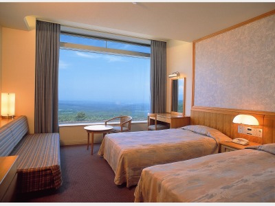 スタンダードツイン一例