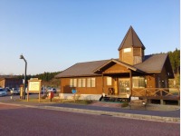 �t�����g��