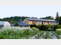 �O�ρQ�؉�����