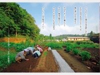 �R���Z�v�g9