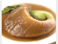 �t�J�q���@���