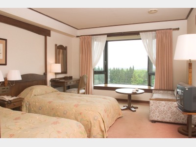 スタンダードツインの一例