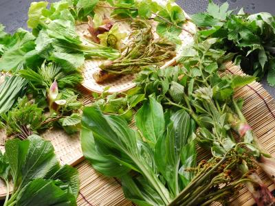 豊かな自然がもたらす素朴で贅沢な食材をお届けいたします。