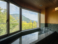 ���ʎ� �` ���� �` �Α���̂����C