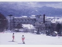 �X�L�|�ꂩ��]��