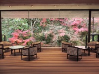 ���r�[�i�C���[�W�j