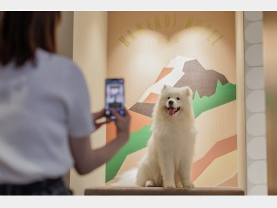 ドッグフレンドリールーム専用設備