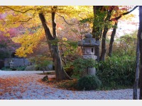 �뉀�C���[�W