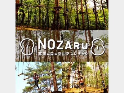 那須の森の空中アスレチック　NOZARU