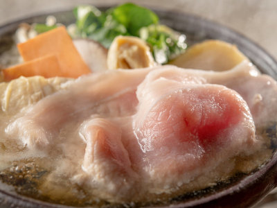 【季節の会席】春（2026年3月～5月）