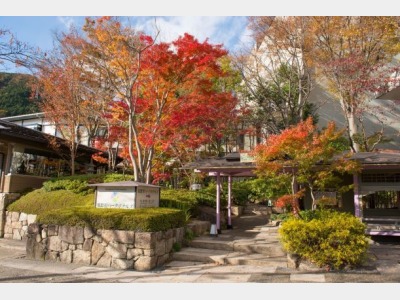 エントランス　秋