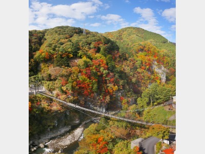 鬼怒立岩大吊橋