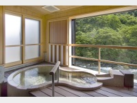 IVCtqůԁvo̊ԁ@IVC