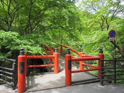 新緑の河鹿橋