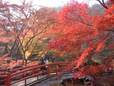紅葉の河鹿橋