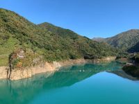 �l���u���[