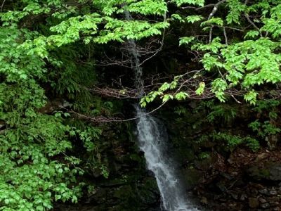 客室から蝉泣きの滝を望む